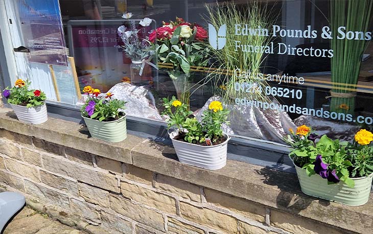 Flowers planted along window ledge